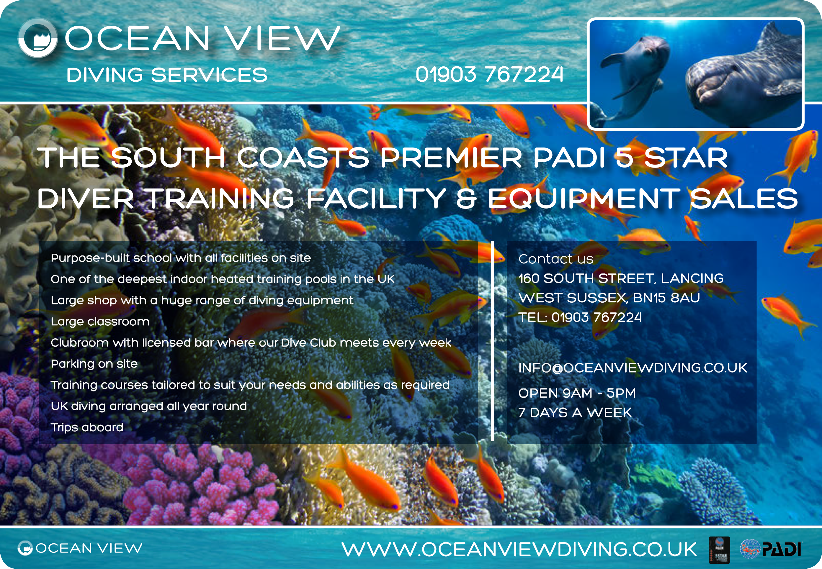 Ocean View Diving Services